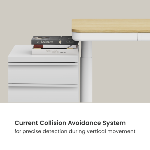 Trendsetting Single-Motor Sit-Stand Desk with RGB Lighting S18-22D-BL Brings next-gen style and performance to modern workspaces. from china(chinese)