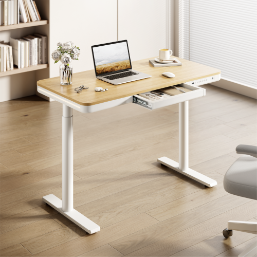 Trendsetting Single-Motor Sit-Stand Desk with RGB Lighting S18-22D-BL Brings next-gen style and performance to modern workspaces. from china(chinese)