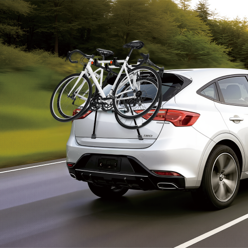 Economy Foldable Car Hitch Bike Rack for 2 Bikes CBR12-21T  from china(chinese)