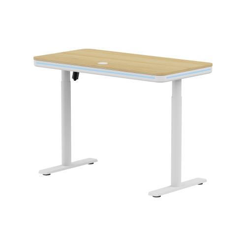 Trendsetting Single-Motor Sit-Stand Desk with RGB Lighting S18-22D-BL Brings next-gen style and performance to modern workspaces. from china(chinese)