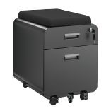 2-Drawer Locking Mobile File Cabinet with Cushion