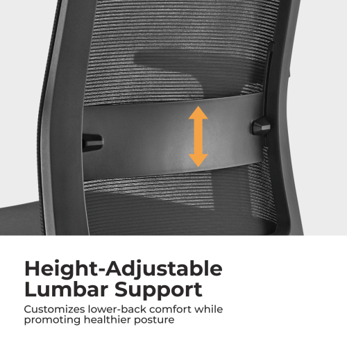 Ergonomic Office Chair CH05-36 Good Posture Enhances Focus from china(chinese)