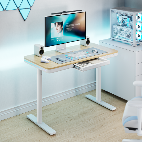 Trendsetting Single-Motor Sit-Stand Desk with RGB Lighting S18-22D-BL Brings next-gen style and performance to modern workspaces. from china(chinese)