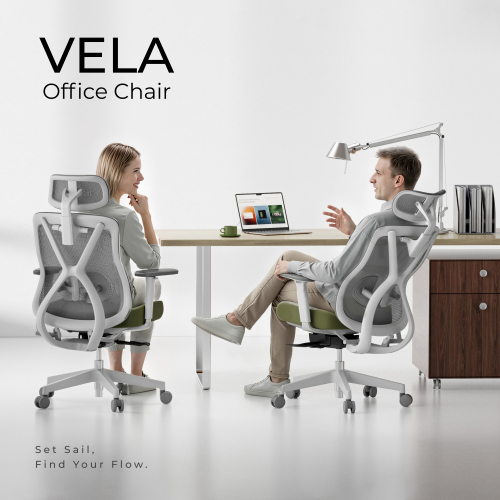 Ergonomic Office Chair with Adjustable Headrest, Backrest, Lumbar Support & Seat Depth OCH01-5 Precision Balanced for Extended Comfort. from china(chinese)