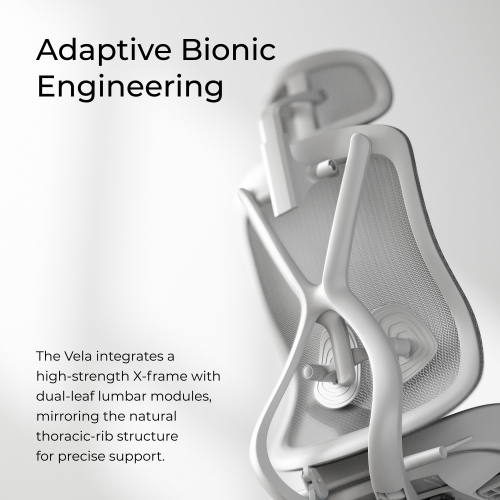 Ergonomic Office Chair with Adjustable Headrest, Backrest, Lumbar Support & Seat Depth OCH01-5 Precision Balanced for Extended Comfort. from china(chinese)