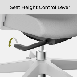 Ergonomic Office Chair with Adjustable Headrest, Backrest, Lumbar Support & Seat Depth