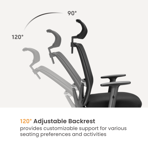 Ergonomic Office Chair with Adjustable Headrest/Lumbar Support CH10-9  from china(chinese)