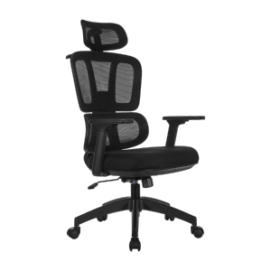 Essential Office Chair with 2D Headrest & 3D Armrests