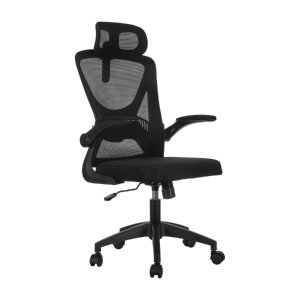  Essential Office Chair with 2D Headrest & Height Adjustable Lumbar Support & Flip-up Armrests