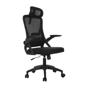 Essential  Office Chair with 2D Headrest & Flip-up Armrests