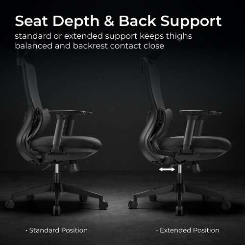 Ergonomic Office Chair with Adjustable Headrest/Seat Depth & 3D Armrests CH10-14  from china(chinese)