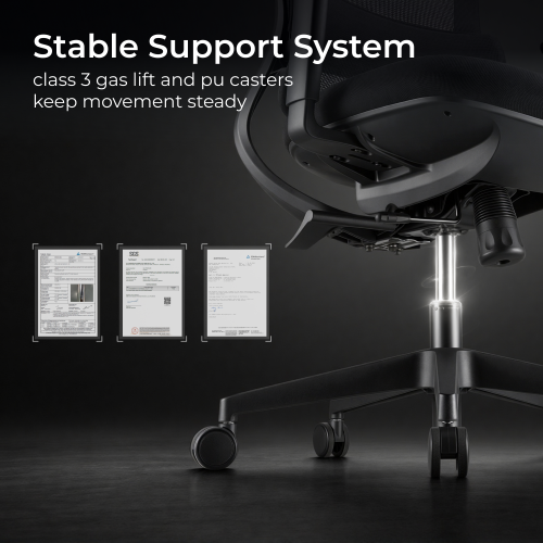 Ergonomic Office Chair with Adjustable Headrest/Seat Depth & 3D Armrests CH10-14  from china(chinese)