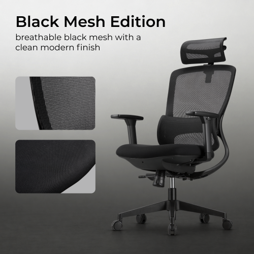 Ergonomic Office Chair with Adjustable Headrest/Seat Depth & 3D Armrests CH10-14  from china(chinese)