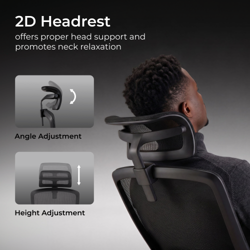 Ergonomic Office Chair with Adjustable Headrest/Seat Depth & 3D Armrests CH10-14  from china(chinese)