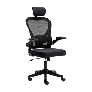 Essential Office Chair with 2D Headrest & 2D Lumbar Support & Flip-up Armrests 