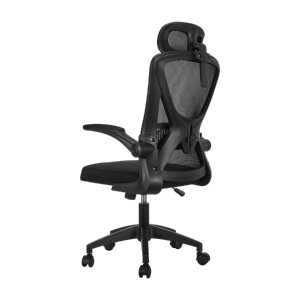  Essential Office Chair with 2D Headrest & Height Adjustable Lumbar Support & Flip-up Armrests
