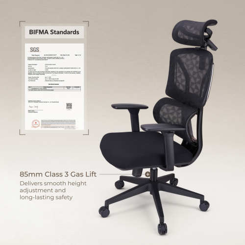 ErgonomiOffice Chair with Adjustable Headrest OCH01-1 Essential Support for Focused Work. from china(chinese)