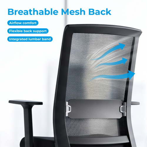 Ergonomic Office Chair CH05-15 Sit Healthier, Work More Focused from china(chinese)
