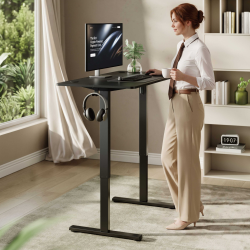 Great Value Single-Motor Sit-Stand Desk